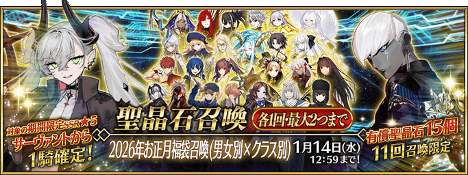 [JP] New Year's 2028 Guaranteed Lucky Bag Summon (Gender x Class)